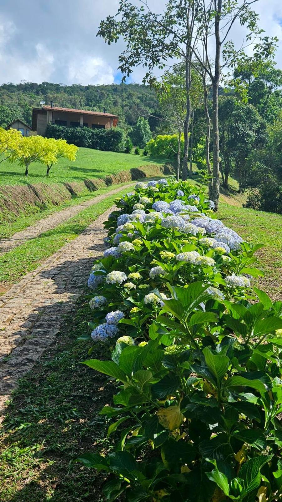 Chales Boa Vista Villa Goncalves Bagian luar foto